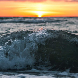 Meet your Posher, Annie